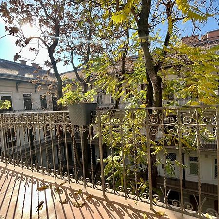 Brand New Sunny Apartment On Andrassy Street 布达佩斯 外观 照片